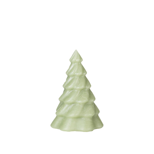 Kerze Weihnachtsbaum Pinus 20 cm - Der karierte Hund®