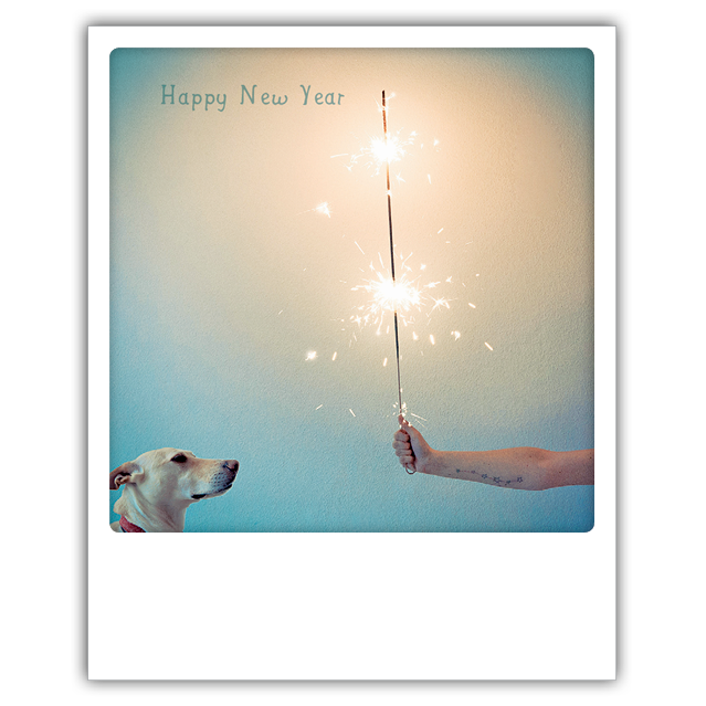 Postkarte Happy New Year - Wunderkerze - Der karierte Hund®