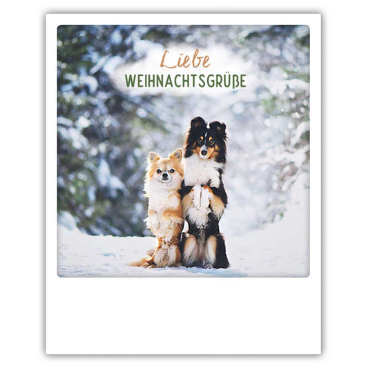 Liebe Weihnachtsgrüße Hunde  — Postkarte von Pickmotion - Der karierte Hund®